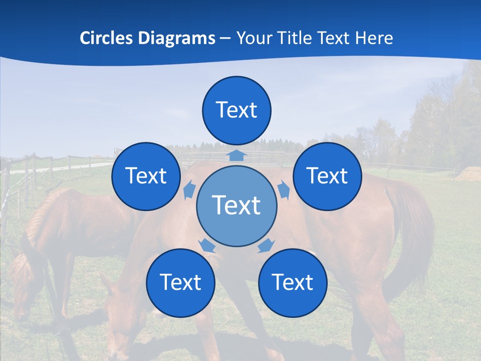 Colorful Fast Horse Racer PowerPoint Template