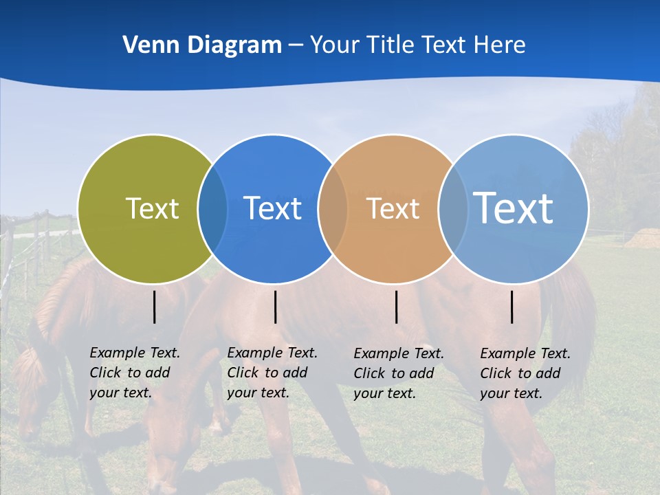 Colorful Fast Horse Racer PowerPoint Template