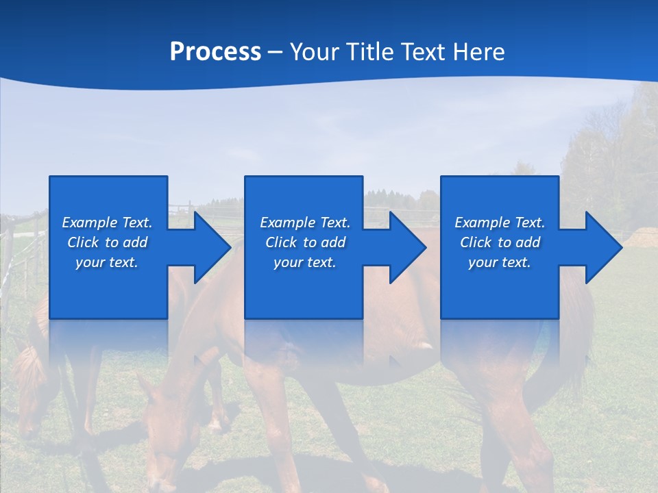 Colorful Fast Horse Racer PowerPoint Template