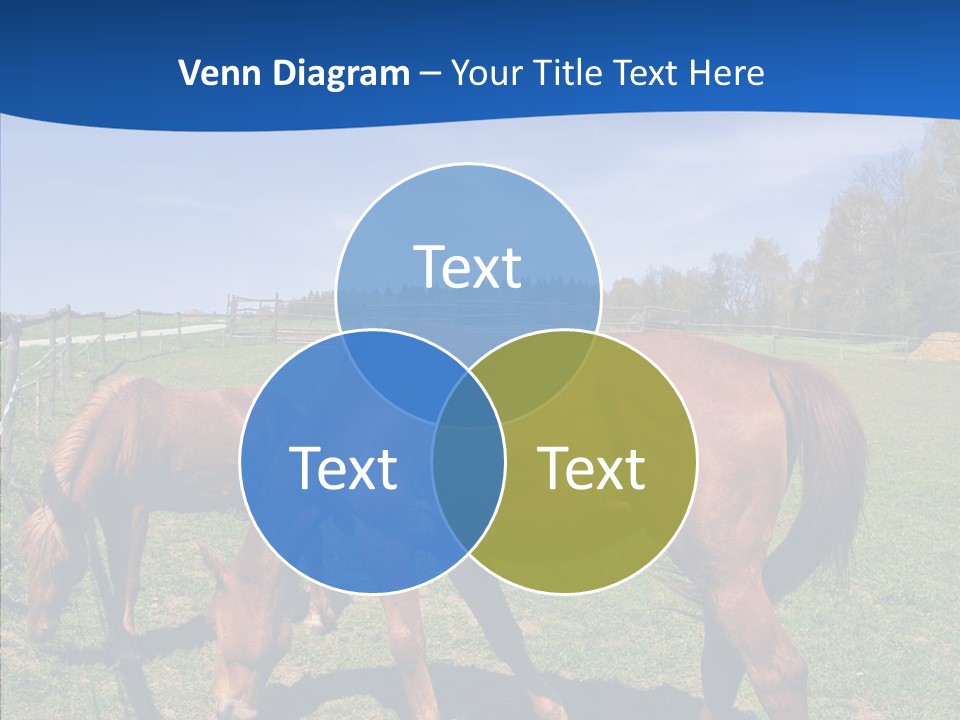 Colorful Fast Horse Racer PowerPoint Template