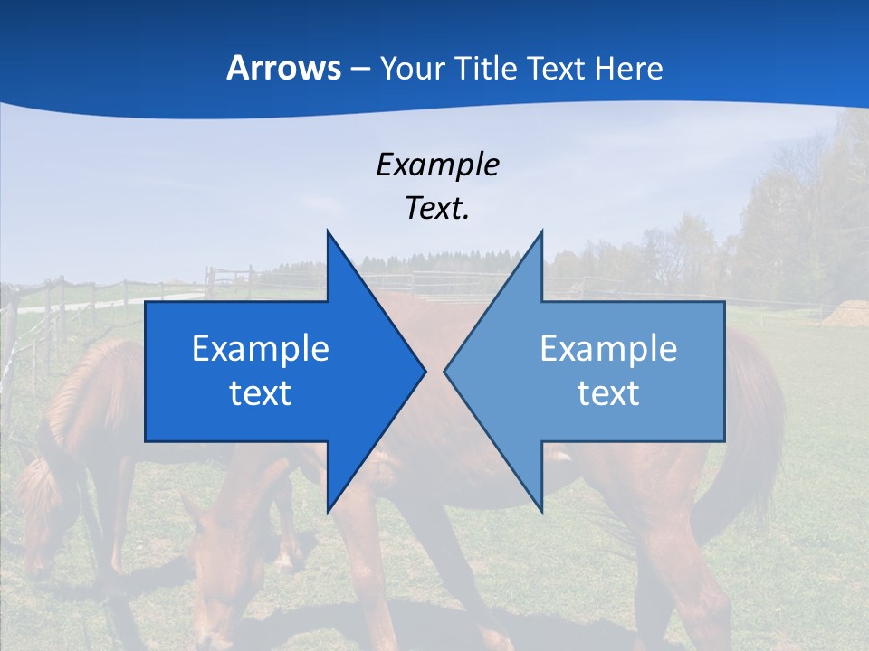 Colorful Fast Horse Racer PowerPoint Template