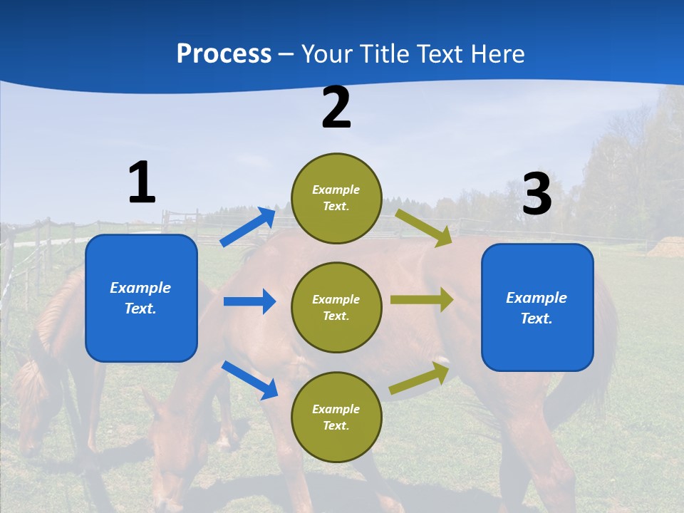 Colorful Fast Horse Racer PowerPoint Template