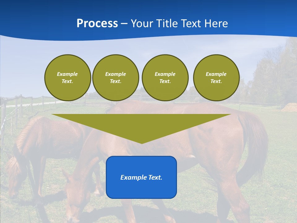 Colorful Fast Horse Racer PowerPoint Template