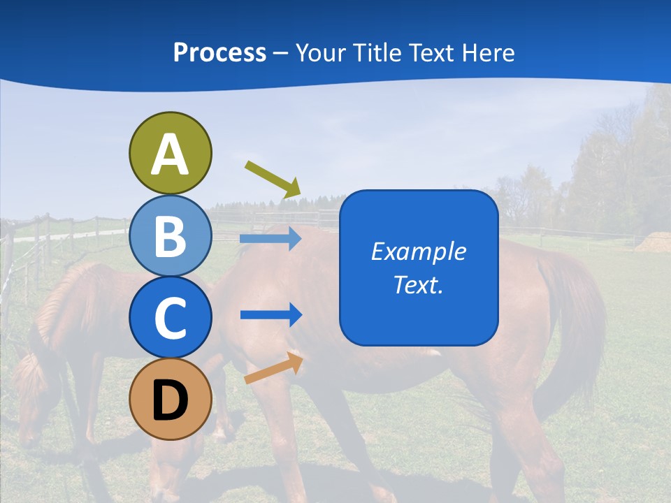 Colorful Fast Horse Racer PowerPoint Template