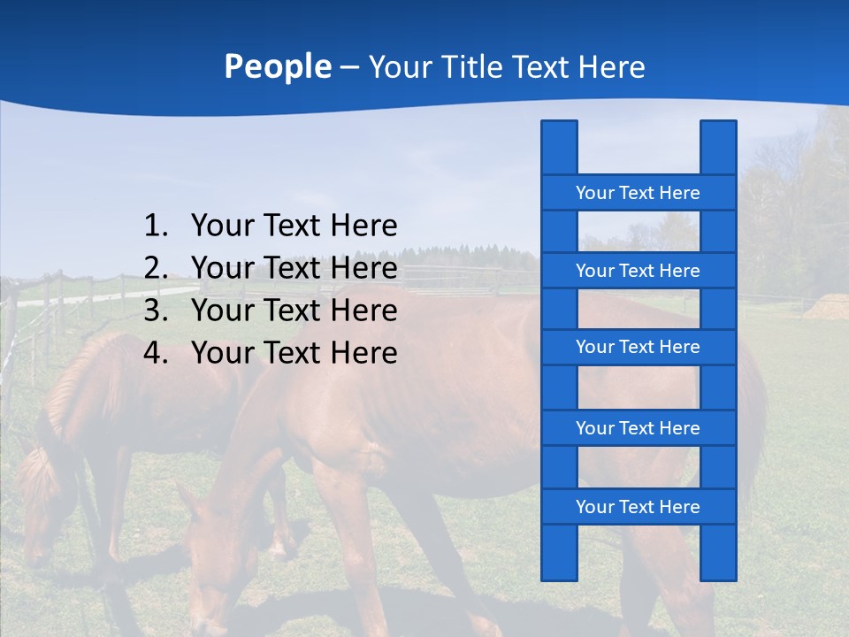 Colorful Fast Horse Racer PowerPoint Template