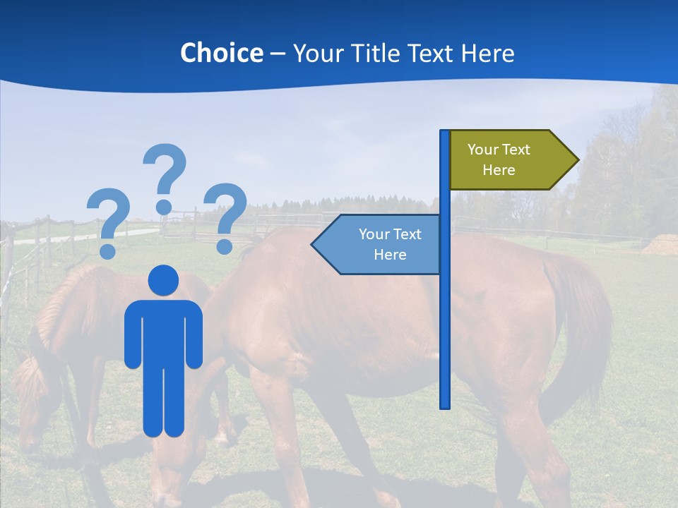 Colorful Fast Horse Racer PowerPoint Template