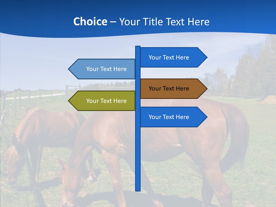 Colorful Fast Horse Racer PowerPoint Template