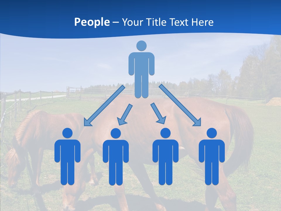 Colorful Fast Horse Racer PowerPoint Template