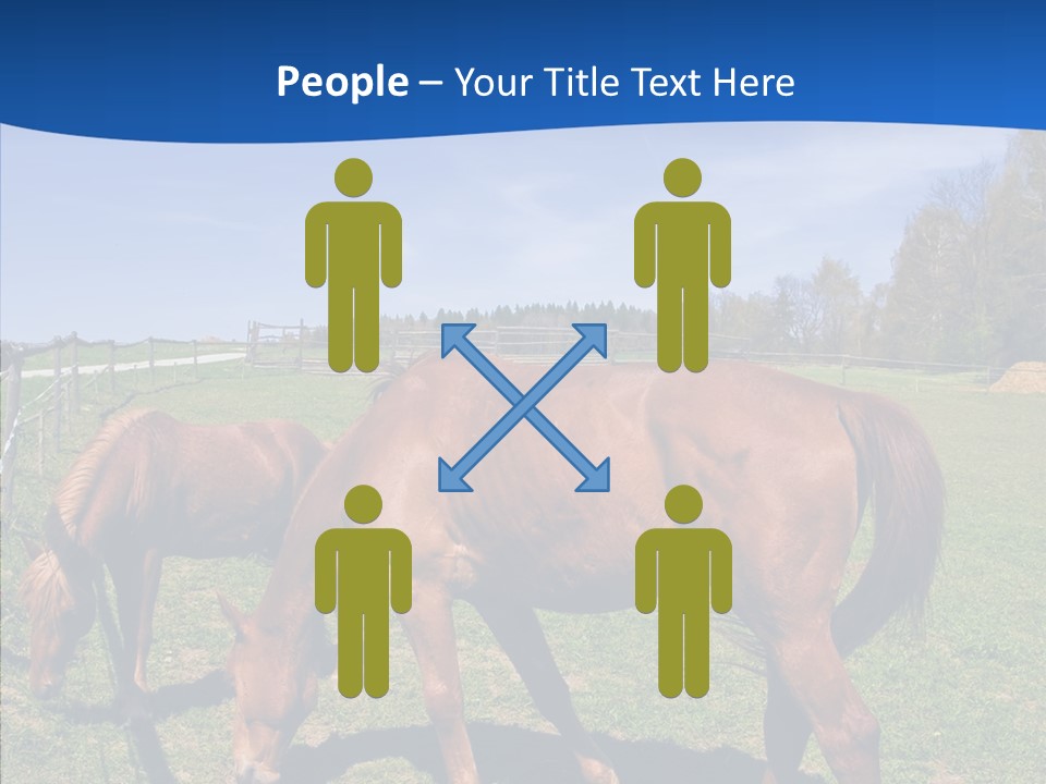 Colorful Fast Horse Racer PowerPoint Template