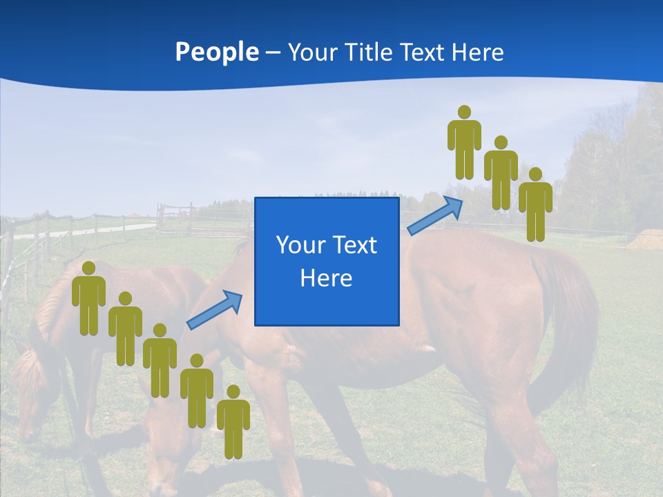 Colorful Fast Horse Racer PowerPoint Template