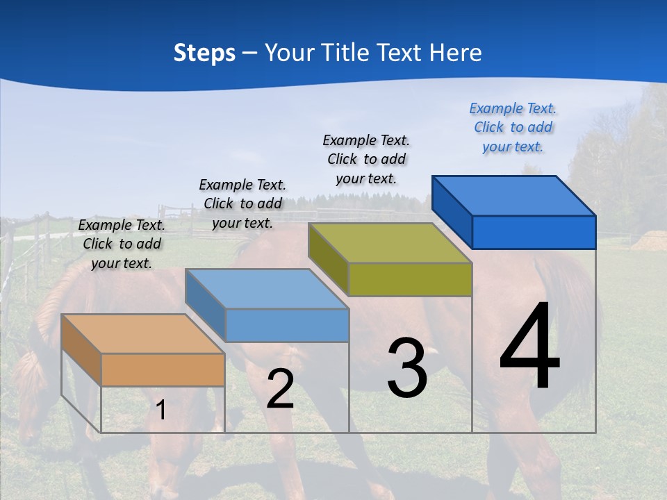 Colorful Fast Horse Racer PowerPoint Template