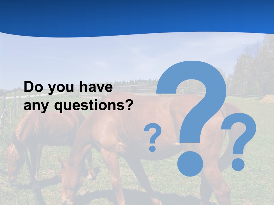 Colorful Fast Horse Racer PowerPoint Template