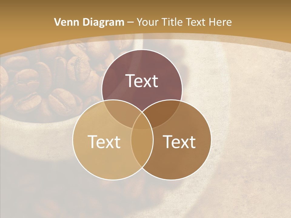 Chair Profe Ional Di Cu Ion PowerPoint Template