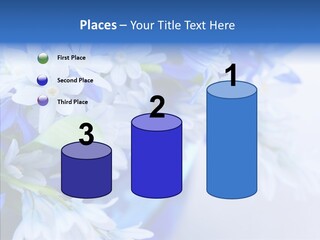Bouquet Young Flora PowerPoint Template