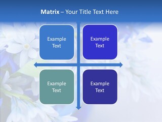 Bouquet Young Flora PowerPoint Template