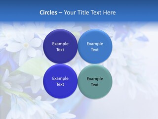 Bouquet Young Flora PowerPoint Template