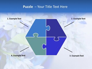 Bouquet Young Flora PowerPoint Template