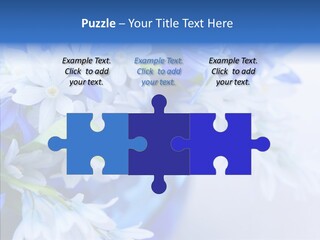 Bouquet Young Flora PowerPoint Template
