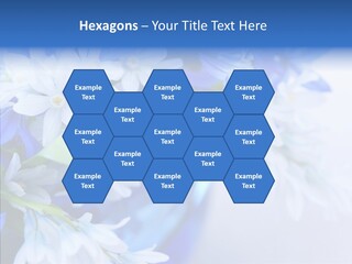 Bouquet Young Flora PowerPoint Template