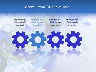 Bouquet Young Flora PowerPoint Template