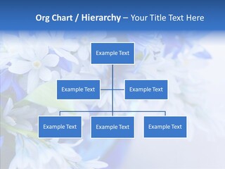 Bouquet Young Flora PowerPoint Template