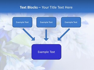 Bouquet Young Flora PowerPoint Template