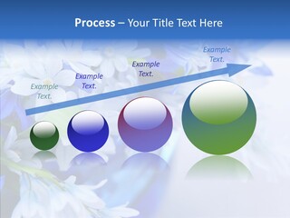 Bouquet Young Flora PowerPoint Template