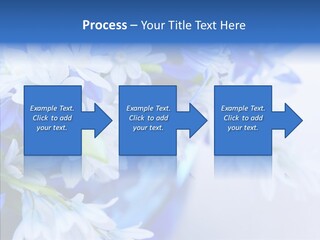 Bouquet Young Flora PowerPoint Template