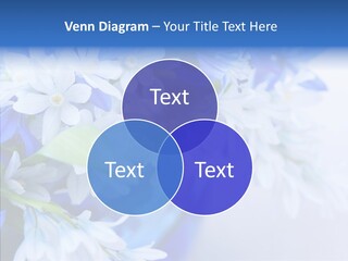 Bouquet Young Flora PowerPoint Template