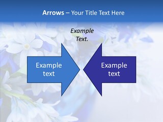 Bouquet Young Flora PowerPoint Template