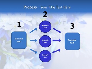 Bouquet Young Flora PowerPoint Template