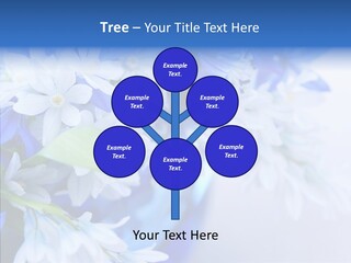 Bouquet Young Flora PowerPoint Template