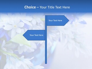 Bouquet Young Flora PowerPoint Template