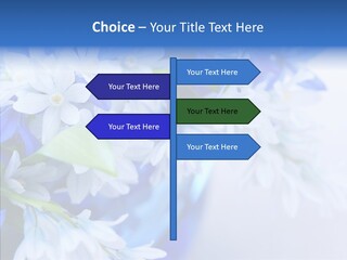 Bouquet Young Flora PowerPoint Template