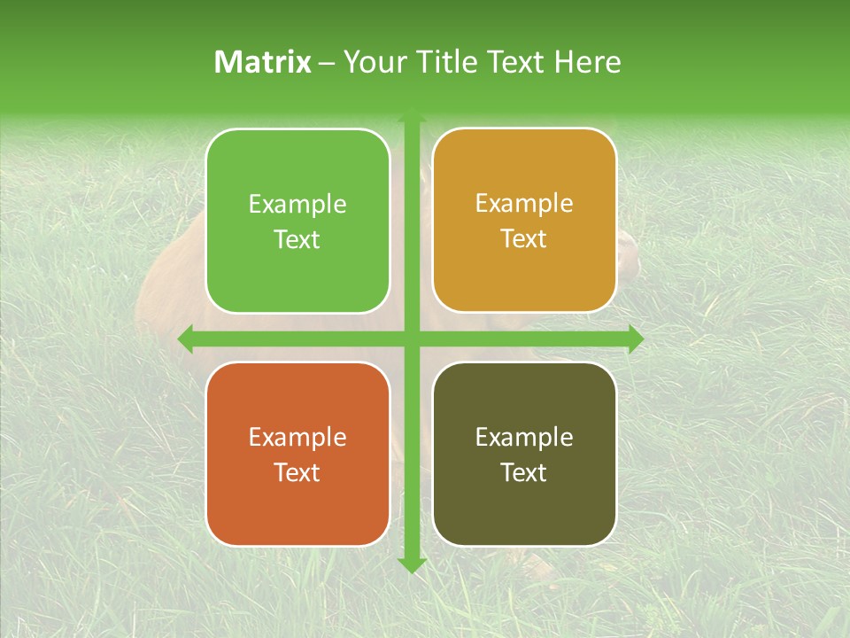 Abstract Water Sky PowerPoint Template