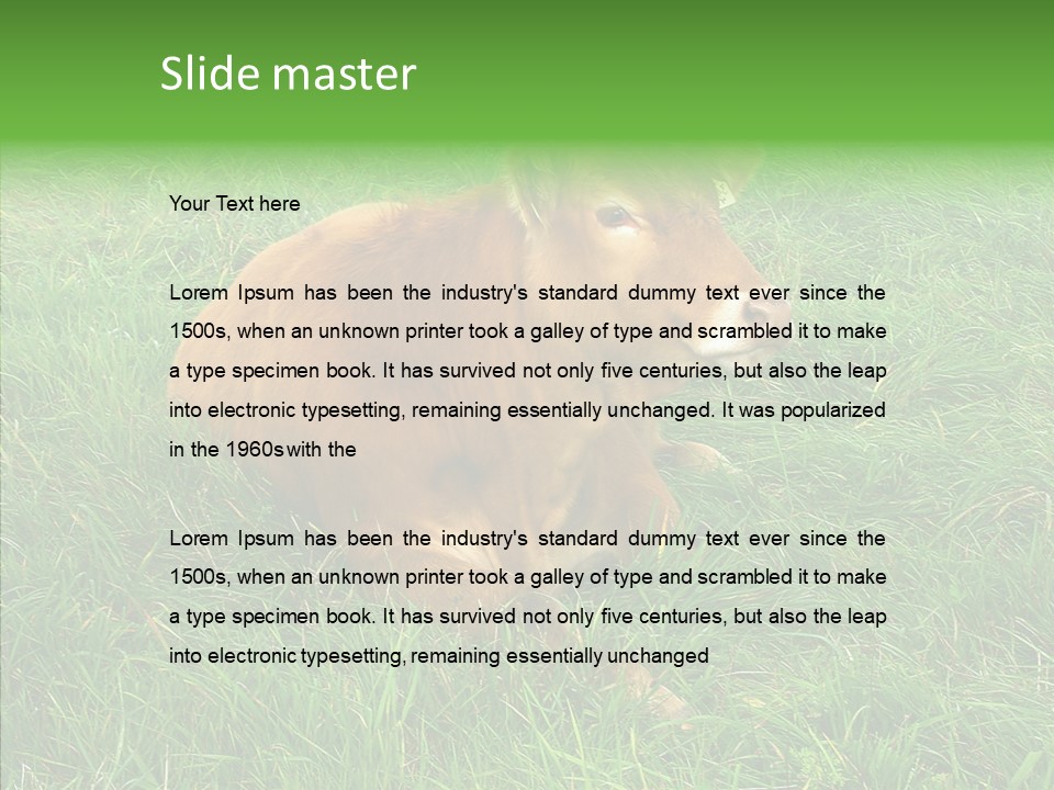 Abstract Water Sky PowerPoint Template