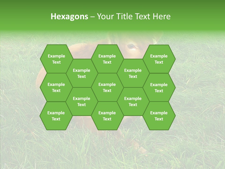 Abstract Water Sky PowerPoint Template