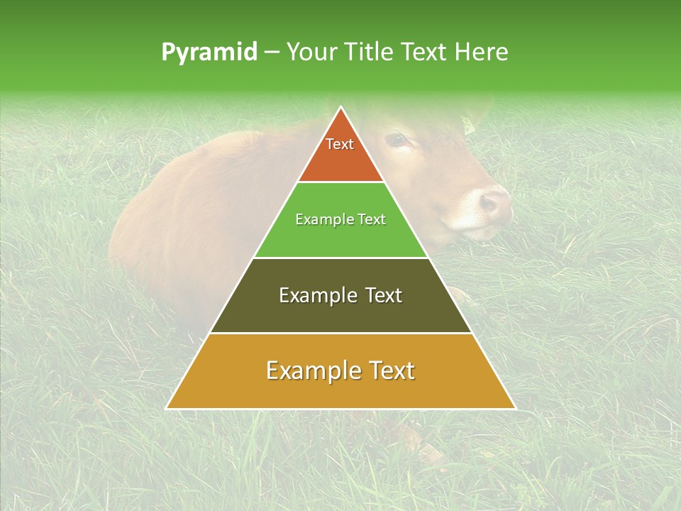 Abstract Water Sky PowerPoint Template