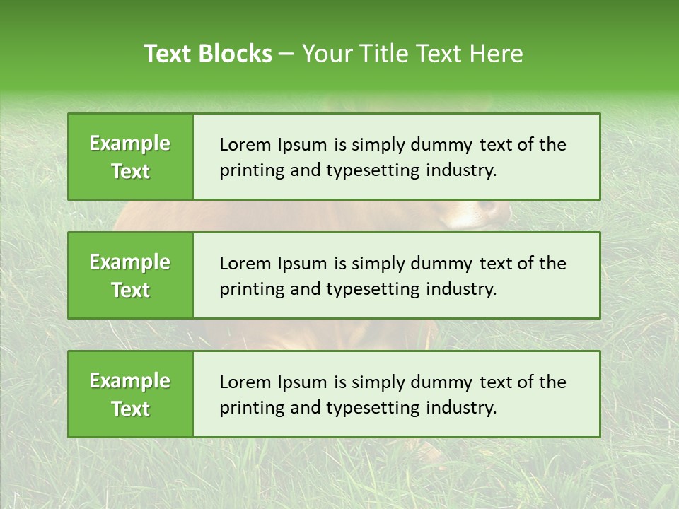 Abstract Water Sky PowerPoint Template