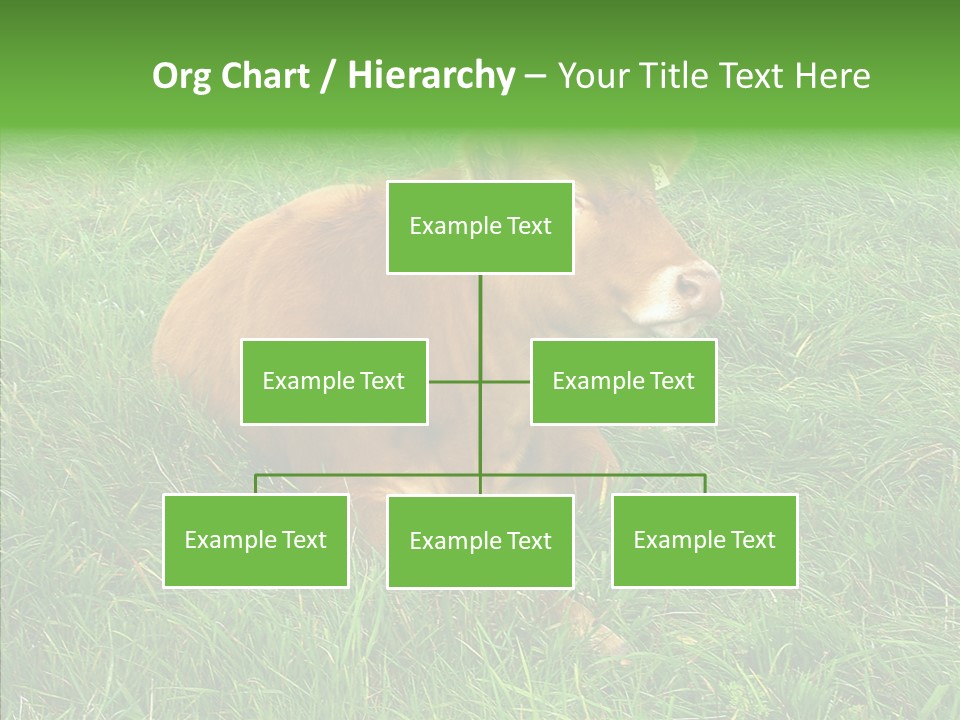 Abstract Water Sky PowerPoint Template