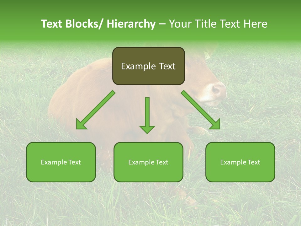 Abstract Water Sky PowerPoint Template