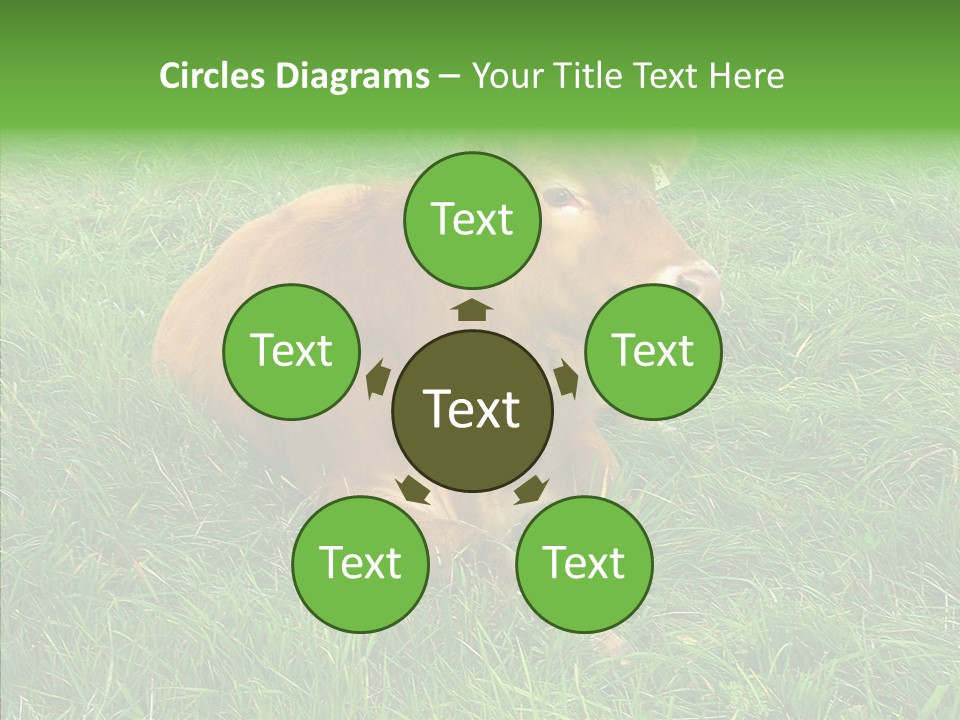 Abstract Water Sky PowerPoint Template