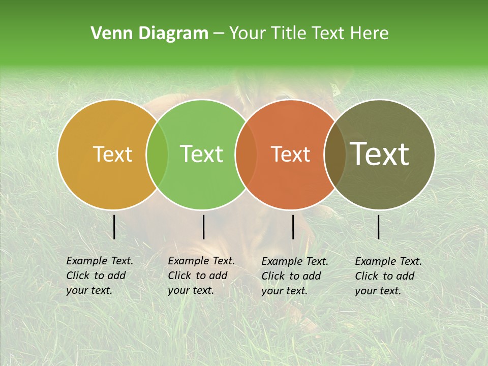 Abstract Water Sky PowerPoint Template