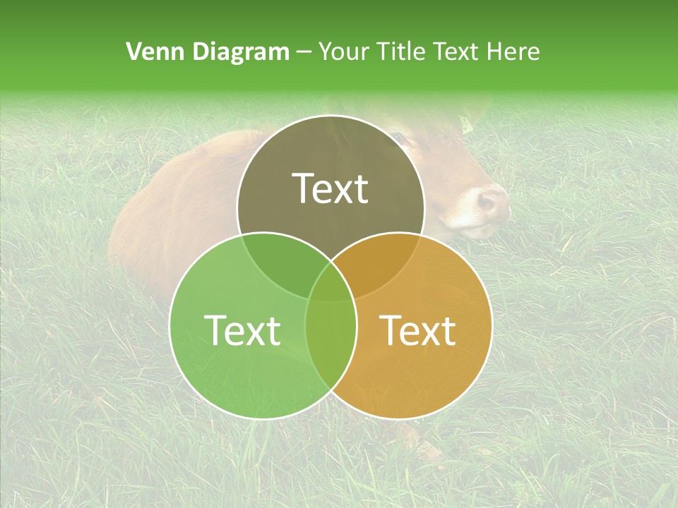 Abstract Water Sky PowerPoint Template