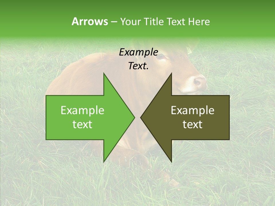 Abstract Water Sky PowerPoint Template