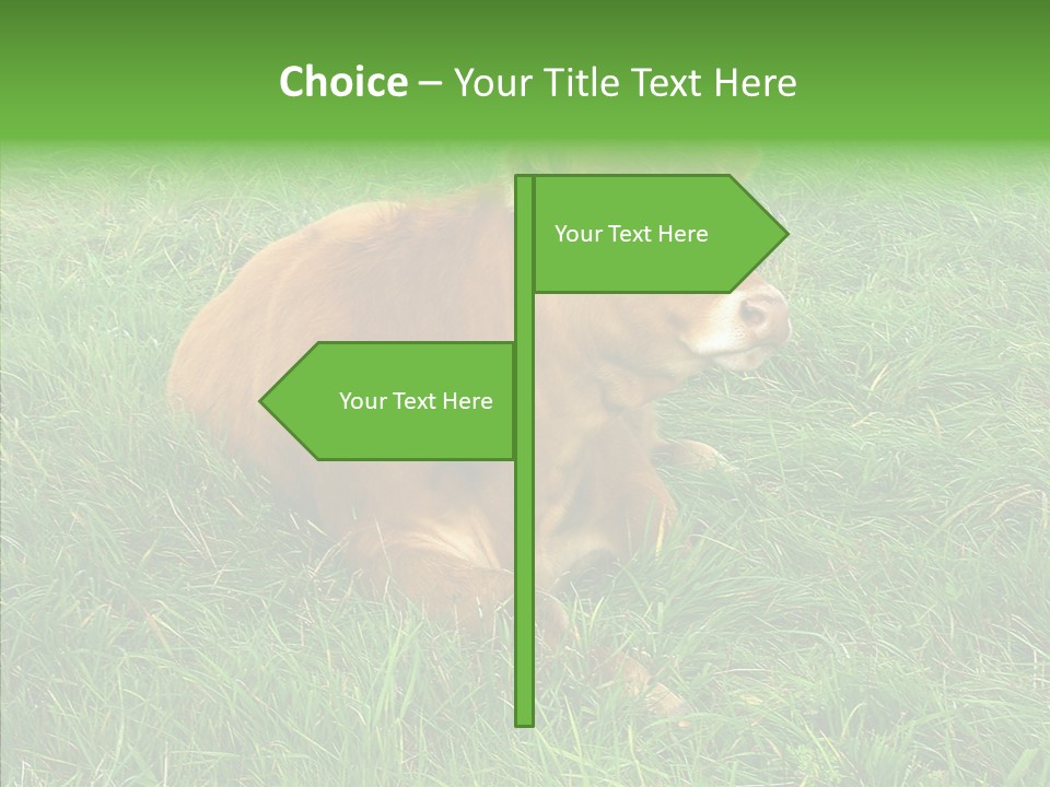 Abstract Water Sky PowerPoint Template