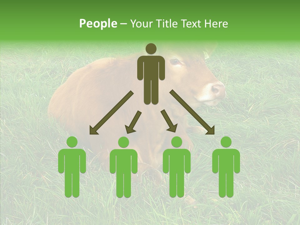 Abstract Water Sky PowerPoint Template