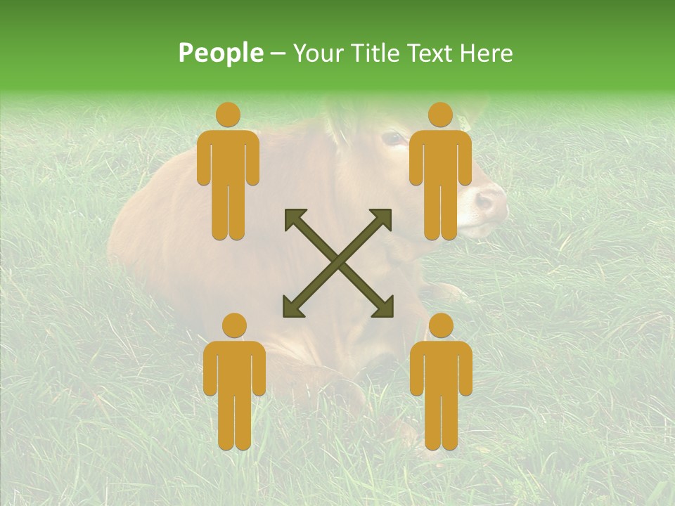 Abstract Water Sky PowerPoint Template