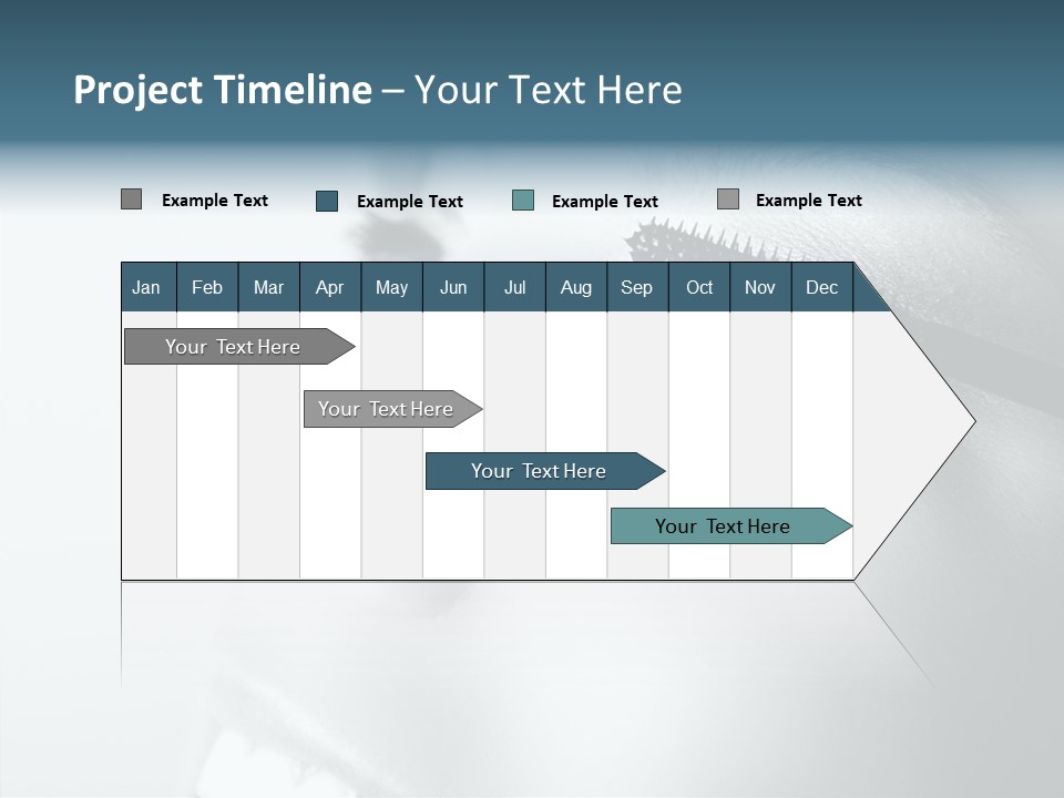 Profe Ional Corporation Humor PowerPoint Template