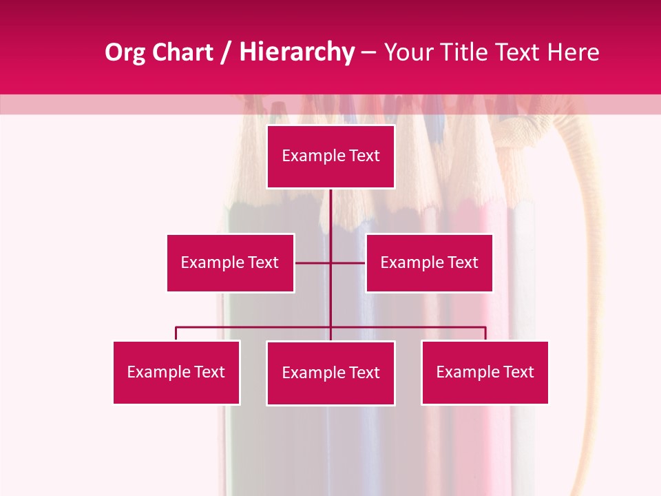 Events Macro Emotive PowerPoint Template